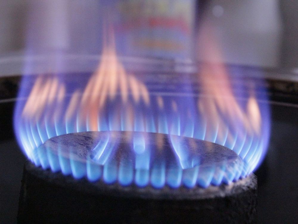 Gas stove burner with a blue flame — Glen and Laxmi gas stoves